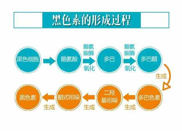 《白癜风康复指南》:黑色素快速生长如何见效?