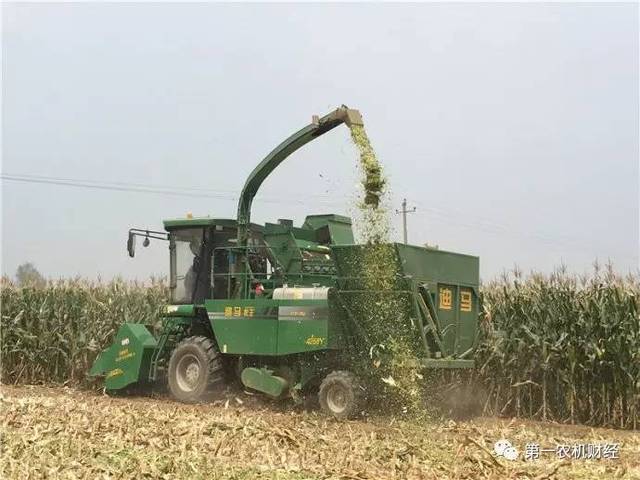 "迪马牧王"独版新型青(黄)贮玉米收获机来了(附视频)