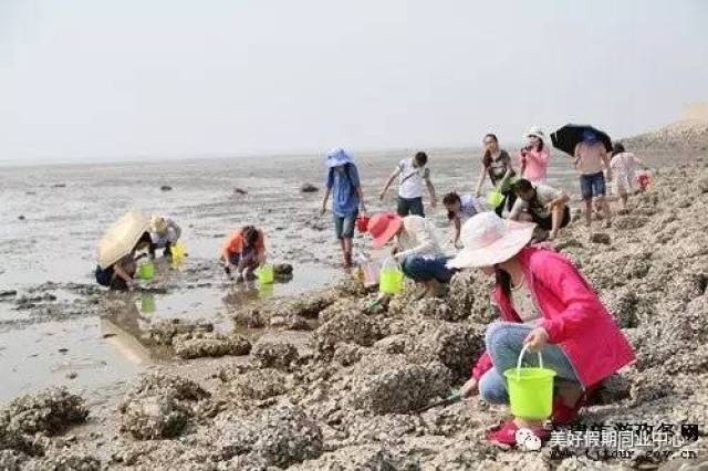 升级版豪标日照纯玩3日游 听海,观涛,踏浪,拾贝,赶海,赛龙舟看奇趣的