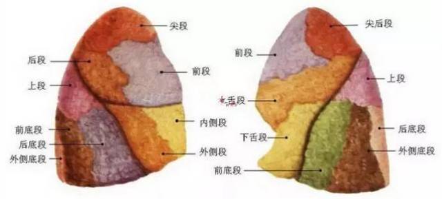贺州广济医院成功完成首例胸腔镜下非典型肺段切除术