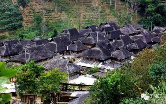 (景洪市基诺山基诺族乡 洛特村 普洱市澜沧县南岭乡勐炳村龙塘老寨村