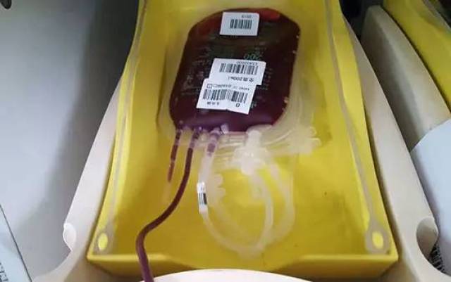 图解:一袋救命血的采集过程!献血救人,就是这么简单