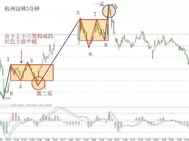 【央广益学堂-每周讲堂】第三课:如何画中枢?