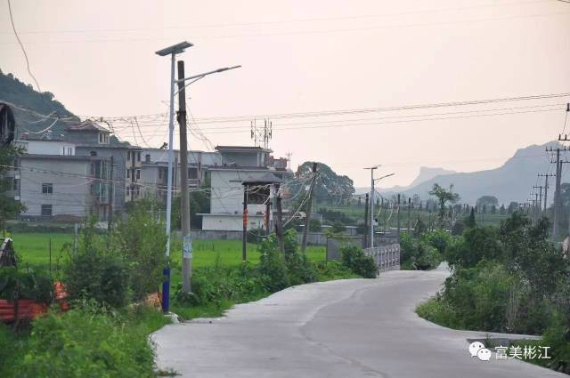 英山松树下 捐建路灯人人夸—记彬江镇英山村松树下村民自发捐建