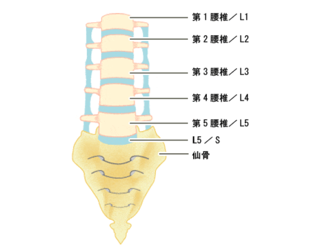 腰间盘突出微创手术是什么原理_腰间盘突出微创手术图(3)