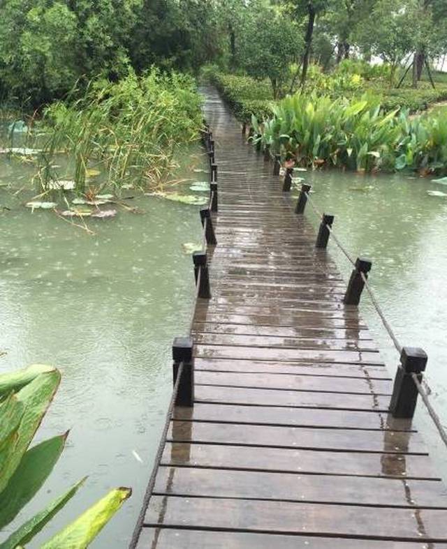 重点来了~~~ 大阳垾湿地公园 位于芜湖城东新区 地处中江大道以西