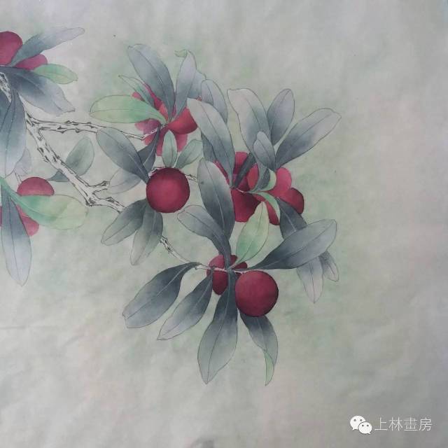 沈海清工笔杨梅图画法步骤