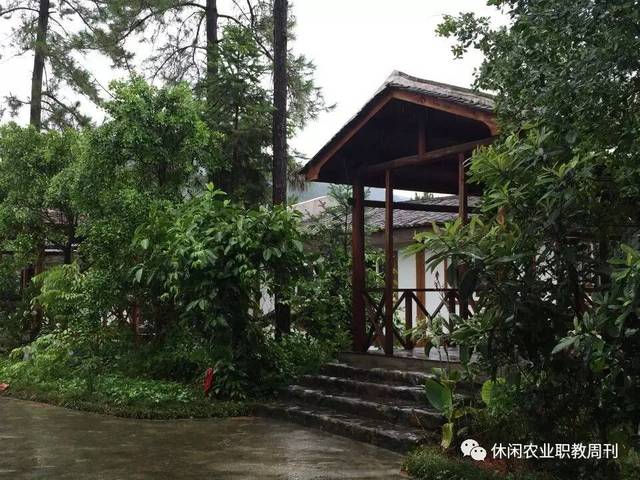 树种和乡愁文化树种相结合,种植如:台湾相思树,紫檀,高山榕,菩提树