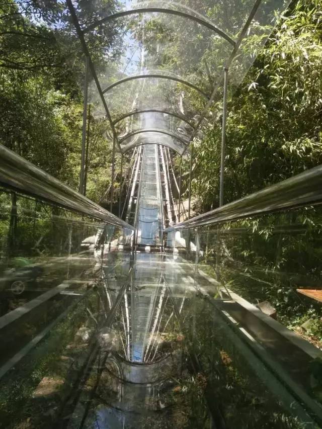 8月6日 夏日激情-抢鲜体验玻璃滑道-3D玻璃桥