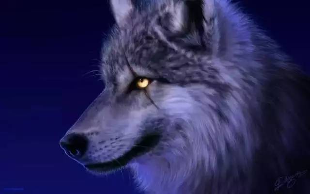 《战狼2》冲刺30亿——狼的野性不可阻挡!