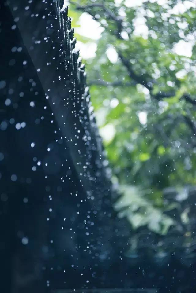 诗中雨,雨中情,美翻整个春天