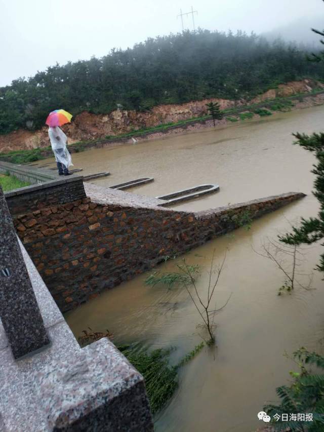 海阳人口数据_大数据图片(3)