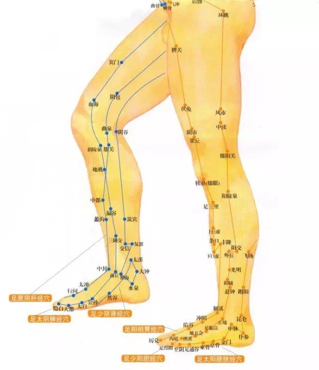 左腿弯曲平放,双手交叠,压在大腿根部,沿着大腿内侧肝经的位置,稍用力