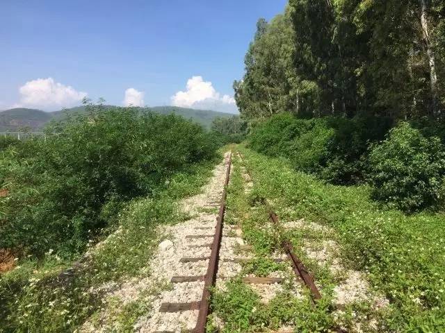 为第二届寸轨徒步的延伸,即选取原个碧石铁路鸡街至建水大田山路段,该