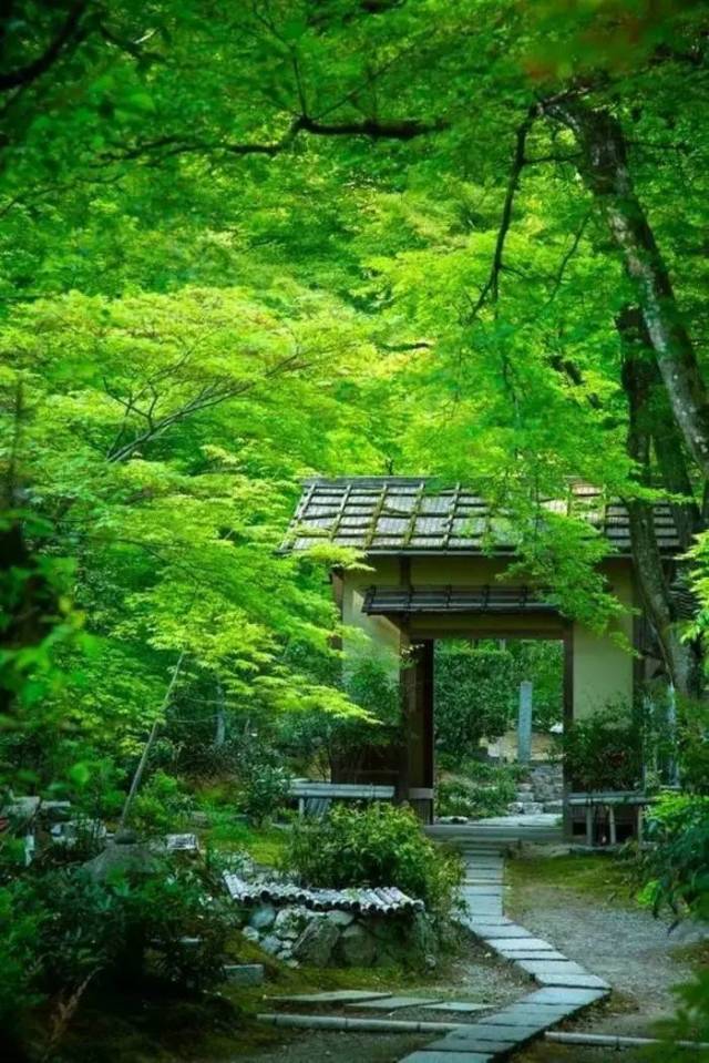 浅秋| 庭院深深,清风微雨