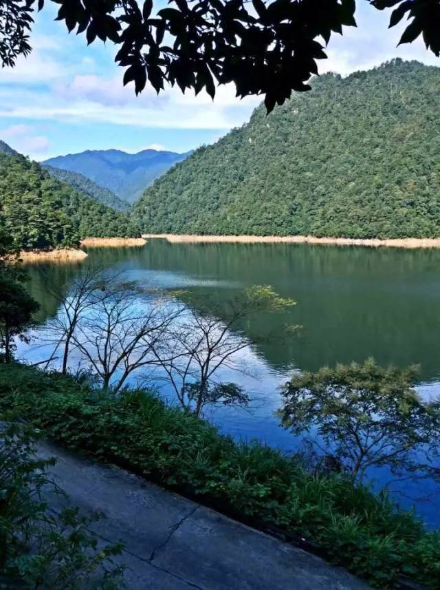 主峰景区,你不知道的美景——醉美井冈湖