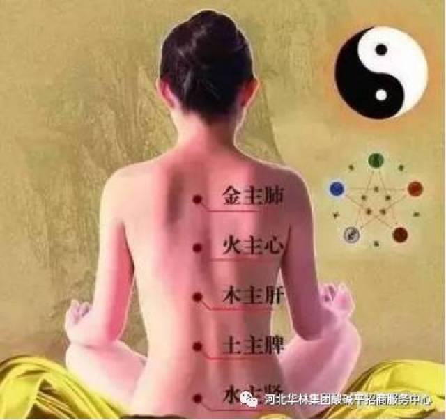 用生物电dds开背,为什么一直强调打通"膀胱经"?