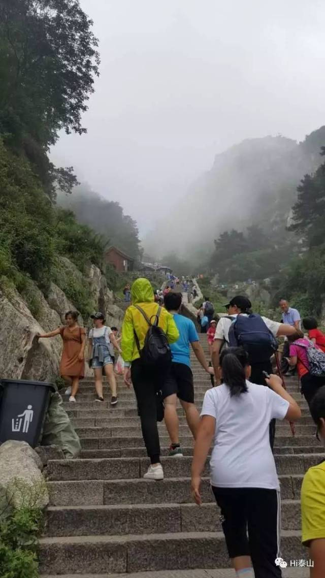 泰山携手荣耀倡导绿色文明旅游,游客边爬泰山边拍照集赞赢奖品