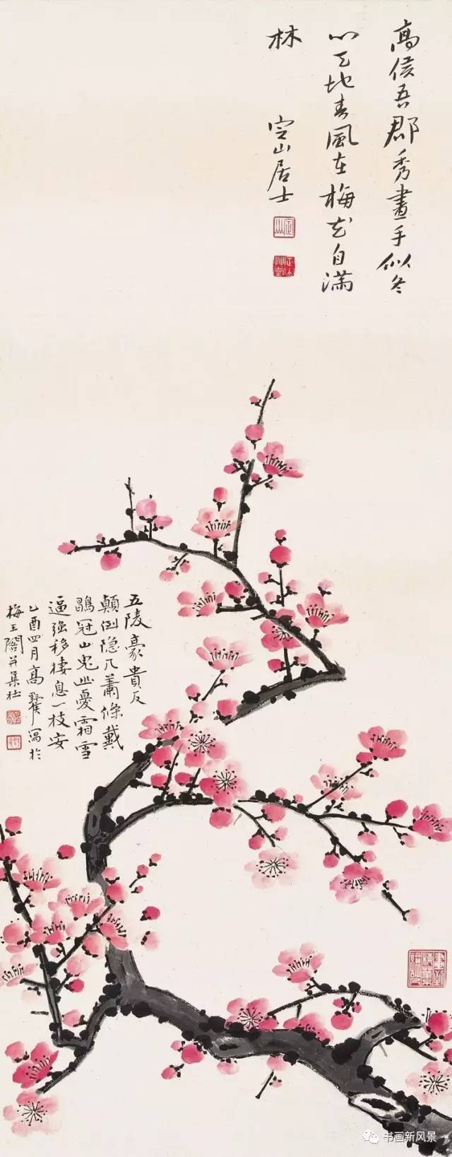 高野侯 | 清末举人画的梅花