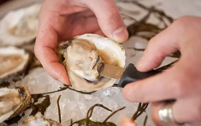 【建国饭店·美食】牡蛎真的很难清洗有没有?这其实真