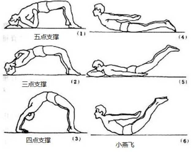 基本方法: 在卧位或匍匐位进行节段性脊柱侧弯运动,使运动中形成的侧