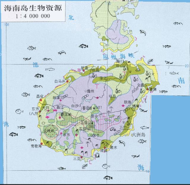 四,中国海南岛生物资源
