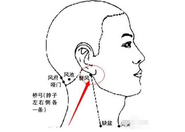 《每天必读一穴》翳风穴:提神偏头痛就翳风