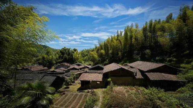 【岭下村】新桥乡首届"大源傩"民俗文化节