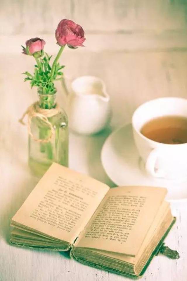 茶文化|一杯茶一本书,随心而至