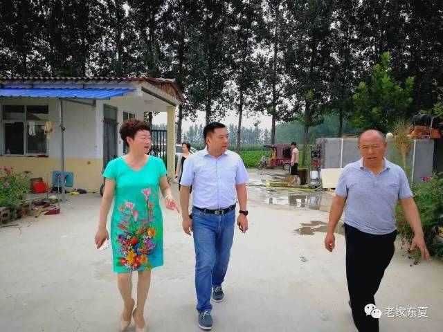 老家东夏 8月11日上午,西华县人民政府副县长毛茹深入到东夏镇调研