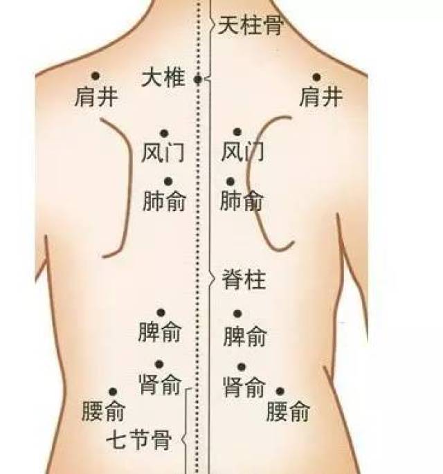 肾俞:在第二腰椎棘突旁开5厘米处. 3.