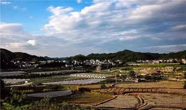 毕节市人口最多的村_毕节市岔河镇双华村