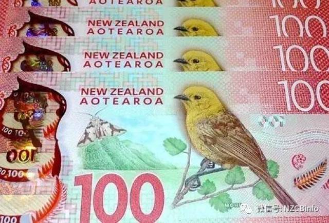 100新西兰元图片