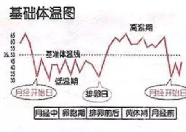 内衣更换周期_元素周期表(3)