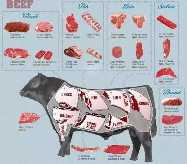 干货知识 | 各部位牛肉烹饪指南