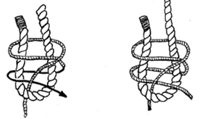 航海小知识|各种绳结的打法 (动画演示)