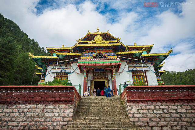 西藏林芝喇嘛林寺,一座被鲜花簇拥的寺庙,尼姑和喇嘛在同一经堂诵经