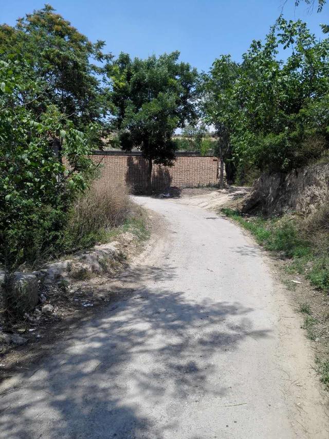 每日一村 风景秀丽—朱家岭村