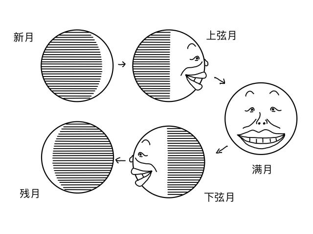 "阴历"则是以月亮从新月到上弦月,再到满月,再到下弦月,再到残月的一