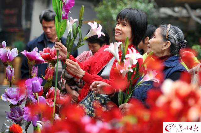 “最广州”水上花市开埠了！买对这些花，年头旺到年尾