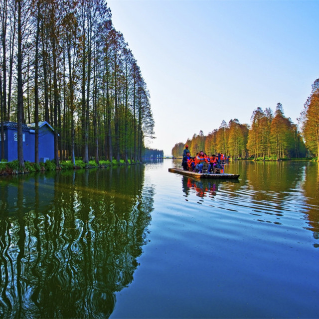 盐城杨侍生态园,游龙湖,李中水上森林公园休闲一日游