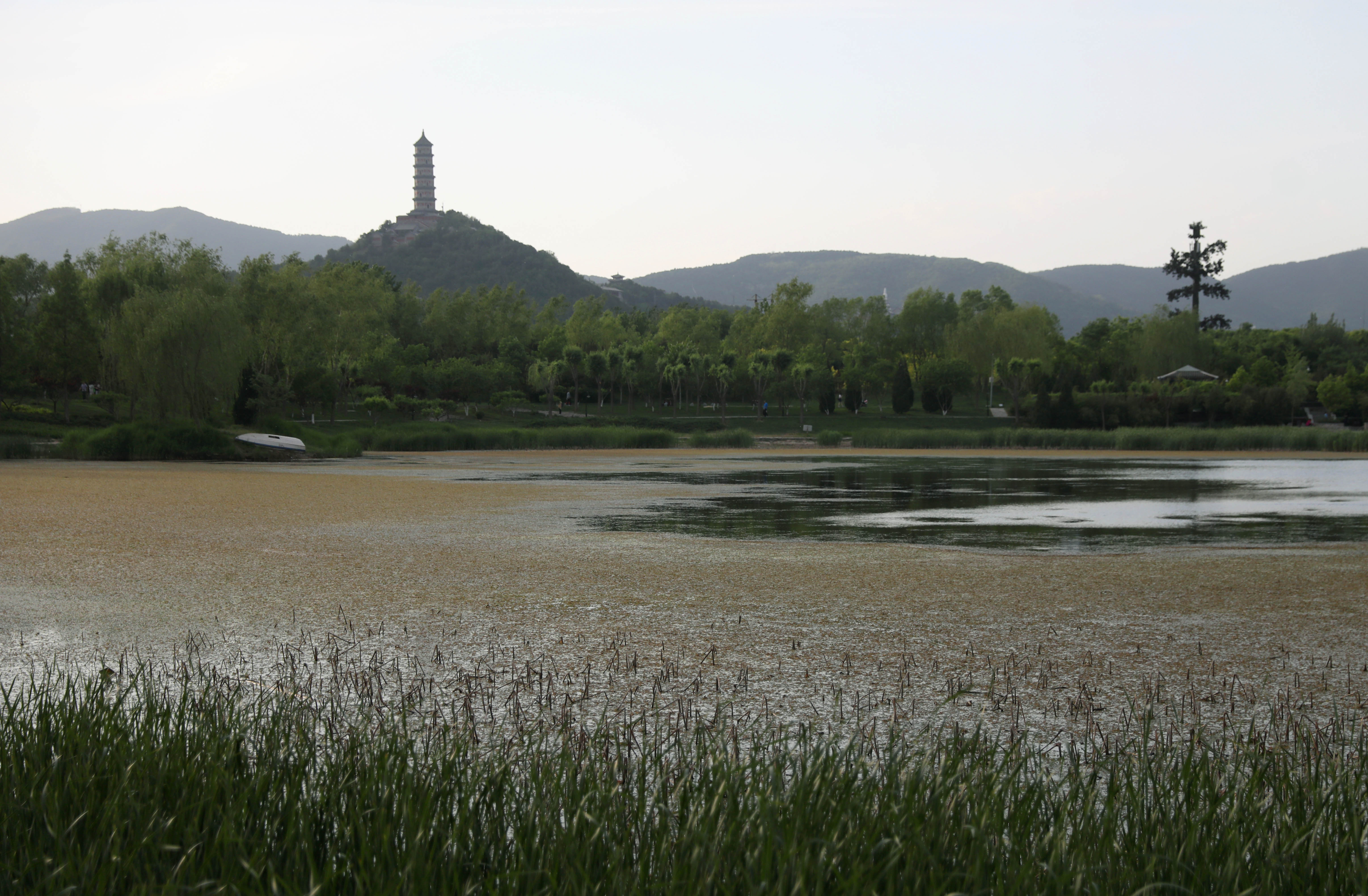 玉泉山下一幅鲜活的耕织图景