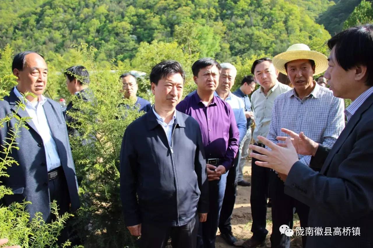 【高桥动态】中国林业与环境促进会会长孟繁志一行深入高桥镇调研苗木