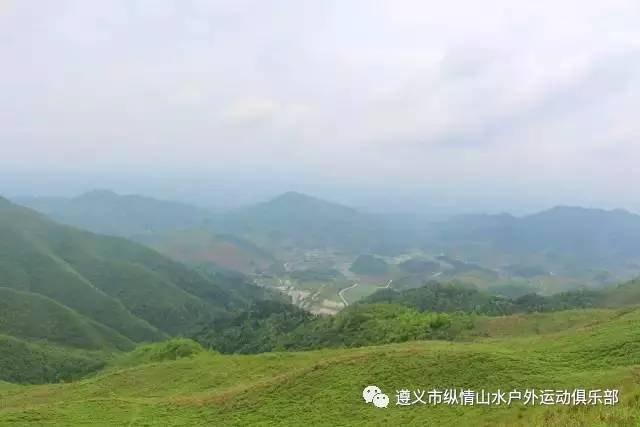 赏花何必跑远,美景就在我们身边;映山红胜火,相约太阳坪;洪关苗族乡等