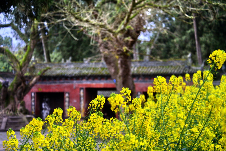 【原创】蜀中纪行：千年皇家道场云台观