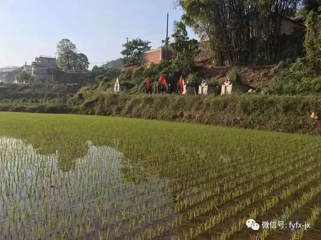 云南富民款庄镇有多少人口_云南广南县人口多少