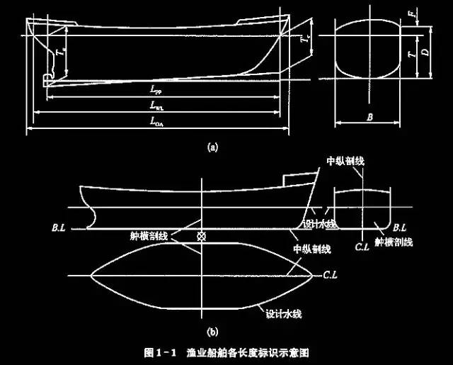 了解渔船长度如何计算关系您家油补金额