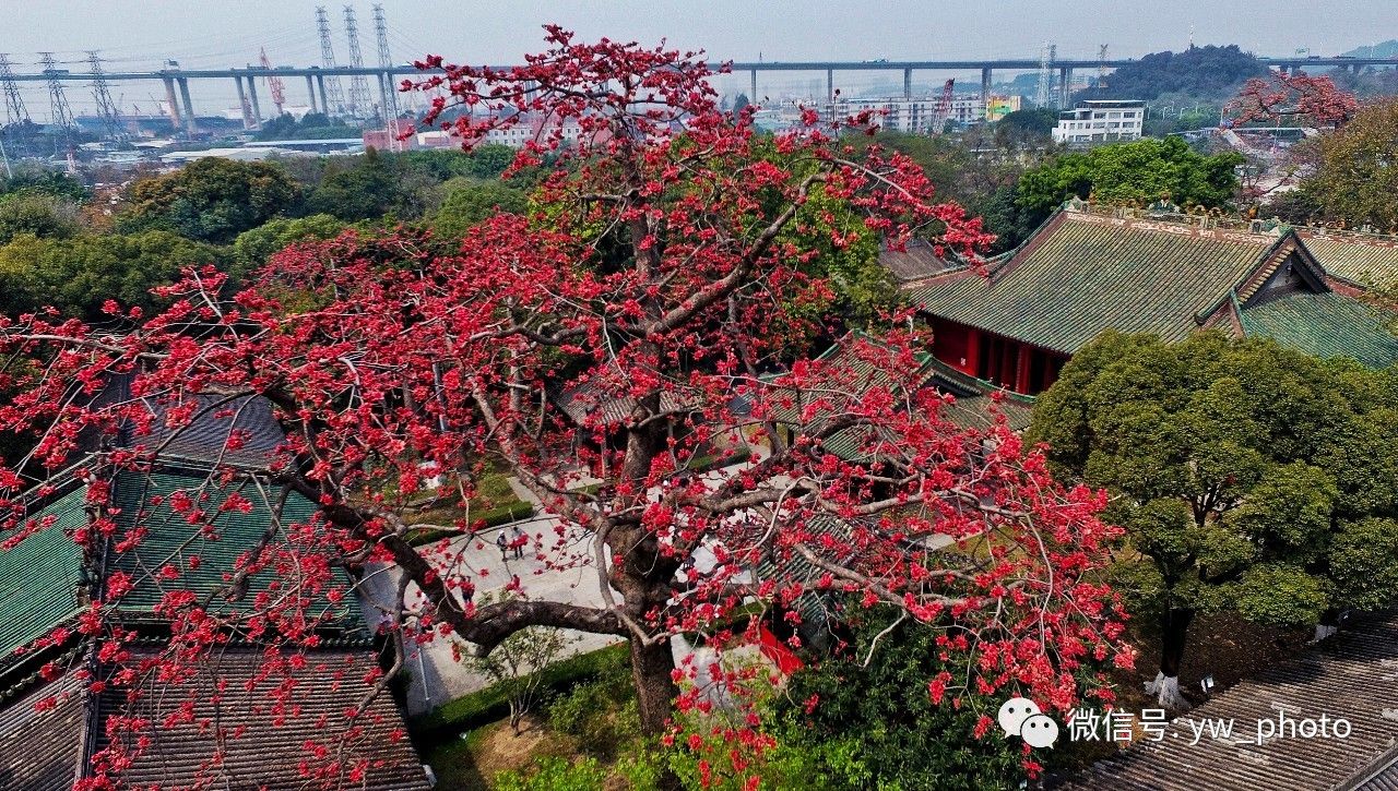 这是一座能满足你关于古代所有想象的海神庙