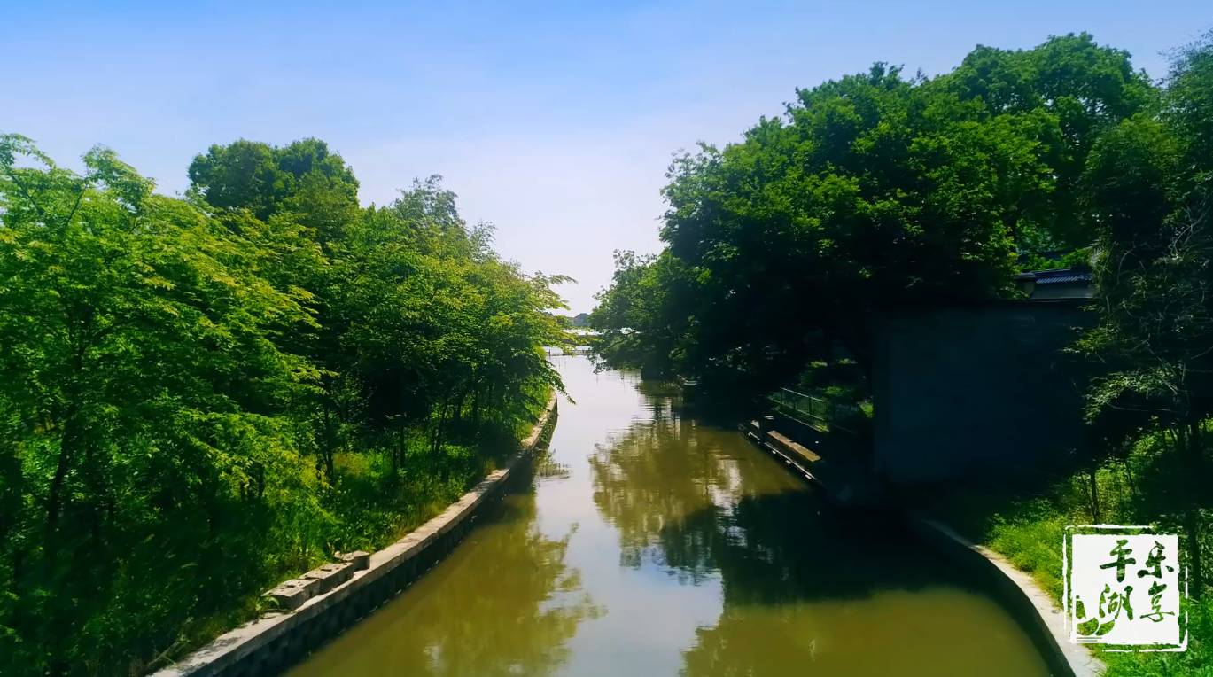 【平湖好风景】这里绿树成荫,小桥流水……在如此燥热