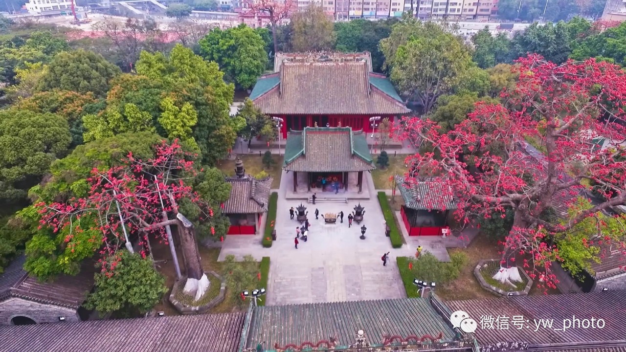广州木棉树种植甚广,其中以南海神庙的最为古老.